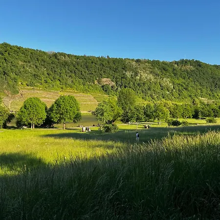 Apartment Ufergeheimnis Am Gülser Moselbogen I 2 Sz I 5 Gäste I Badebucht I Grill I Garten *