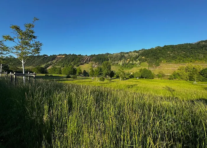 Ufergeheimnis Am Gülser Moselbogen I 2 Sz I 5 Gäste I Badebucht I Grill I Garten * Koblenz (Rhineland-Palatinate)