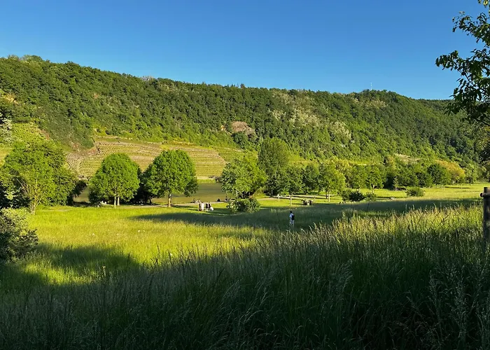 Apartment Ufergeheimnis Am Gülser Moselbogen I 2 Sz I 5 Gäste I Badebucht I Grill I Garten *